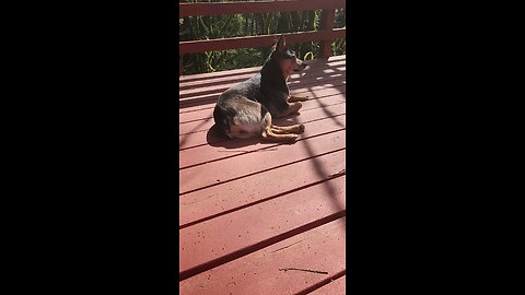 rare sunny sunday in wa