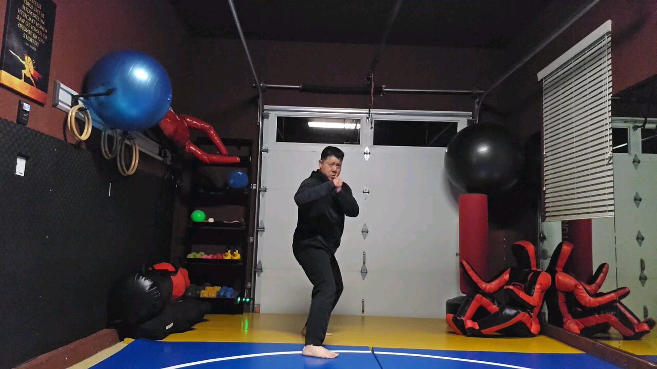 WTD 2 Step Kick Combination 81