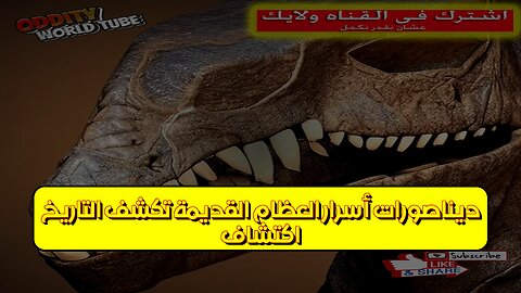 اكتشاف ديناصورات: أسرار العظام القديمة تكشف التاريخ #ديناصورات #اكتشاف #علم_الآثار