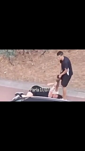 Un inmigrante magrebí robando a una mujer en Parla (Madrid)