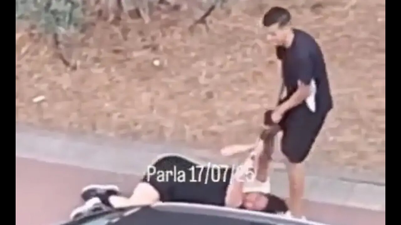 Un inmigrante magrebí robando a una mujer en Parla (Madrid)