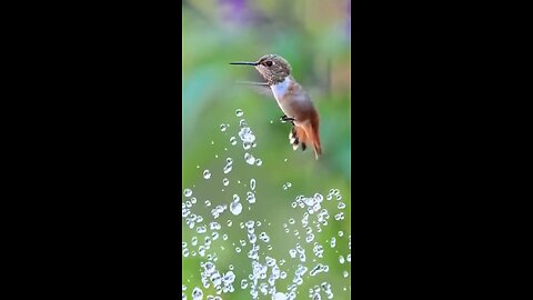 Time for a morning shower! Good night my friends...
