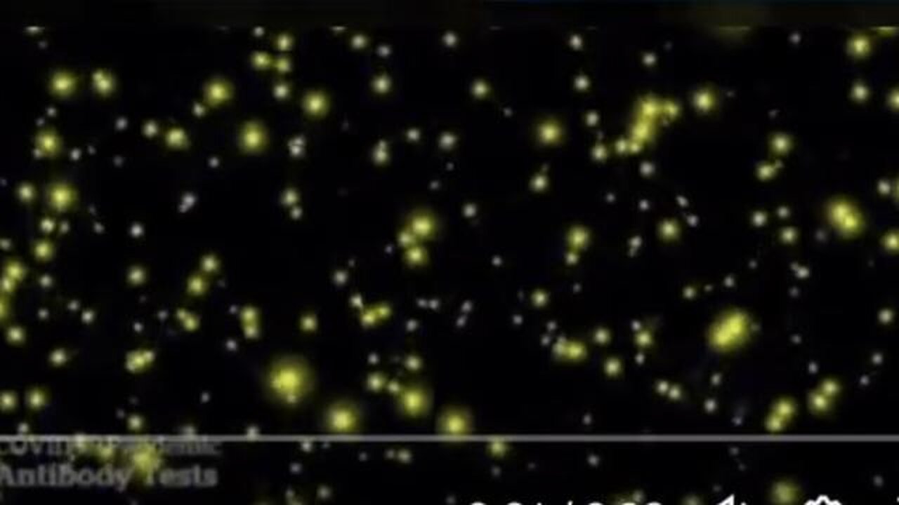 Luciferase bio markers in the Covid jab