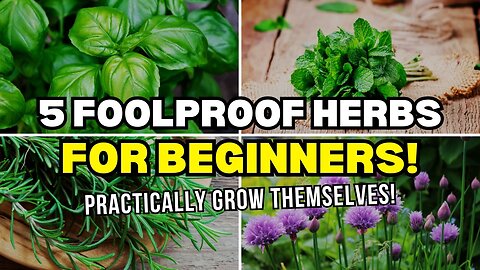 Kickstart Your Garden with These Five Surefire Herbs for Newbies! G33