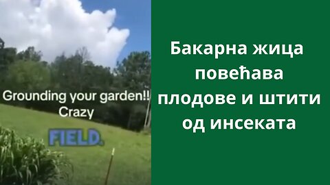 Бакарна жица повећава плодове и штити од инсеката!