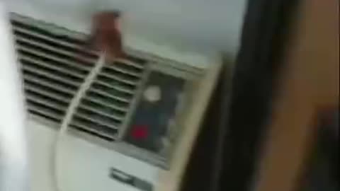 猛人是这样赶走蟑螂的
