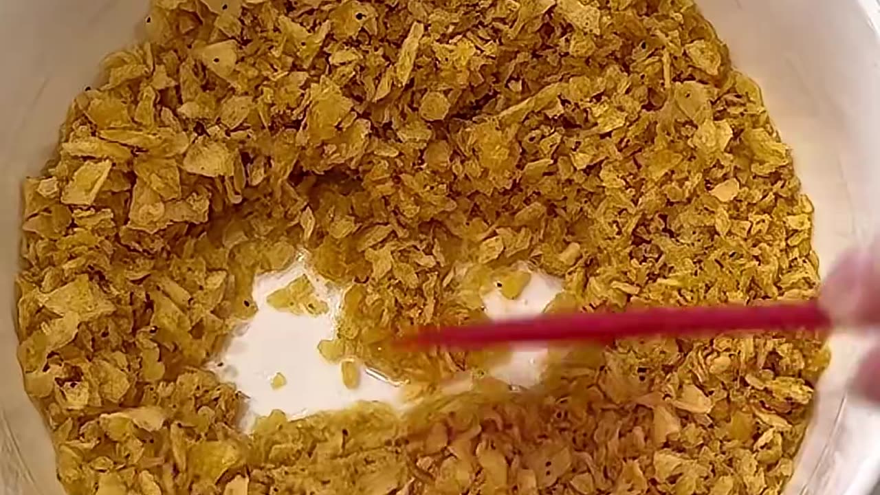 Doritos mozzarella stick from Bayashi