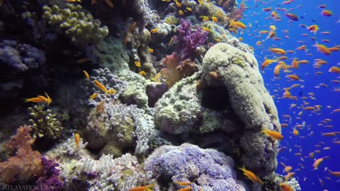 beautiful natural ocean 1