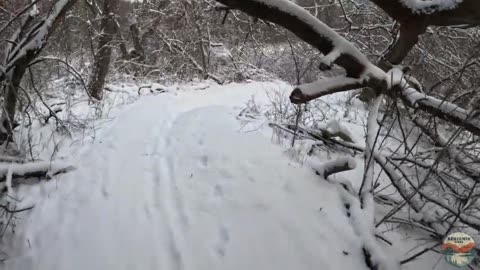 SNOW on ROLLING THUNDER | Hike POV, Nature ASMR