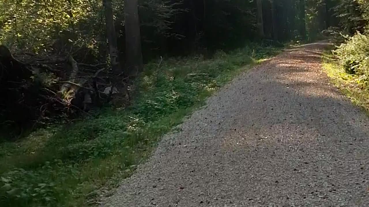 A culture of truth, justice, and trust versus a culture of self-interest, deceit, and betrayal