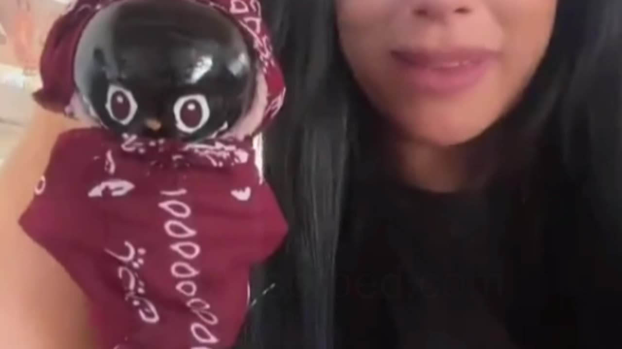 She Painted a $10K Toy Black and Called It KSI 🤡 | SelfAbsorbed.com