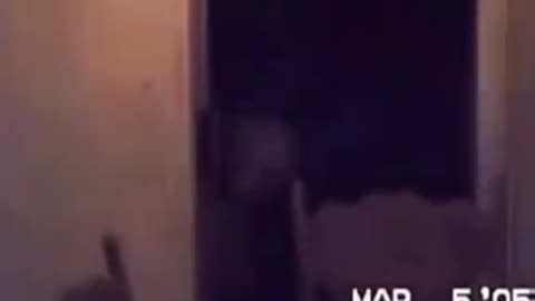 😱👽 Did They Really Capture an Alien? Shocking Footage! | TheHauntingHour