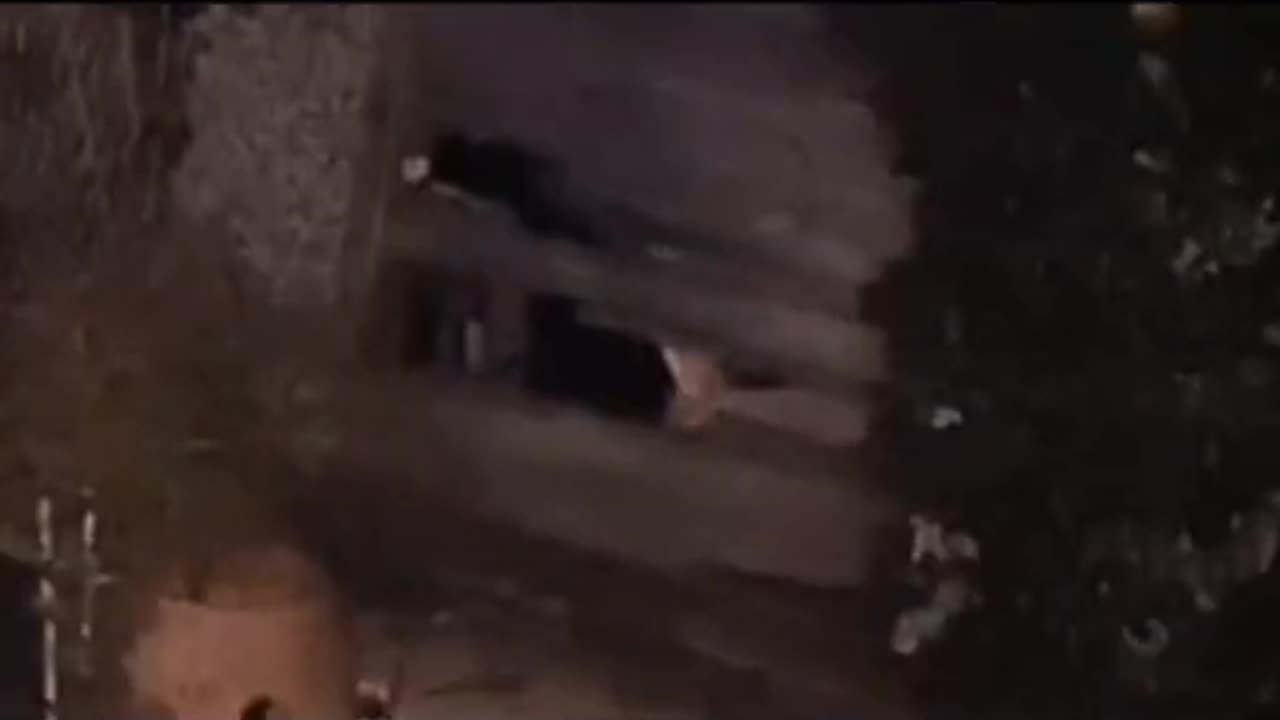 😲👹 Rake Creature Caught on camera | TheHauntingHour