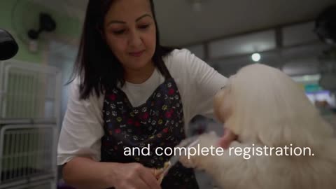 Top-Rated Pet Daycare in Bowmanville – Furry Friends Pet Resort