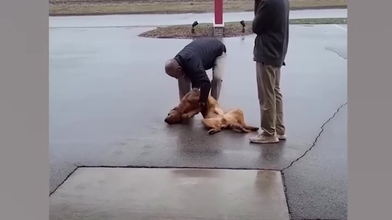 When the kids want to stay at the park a little longer