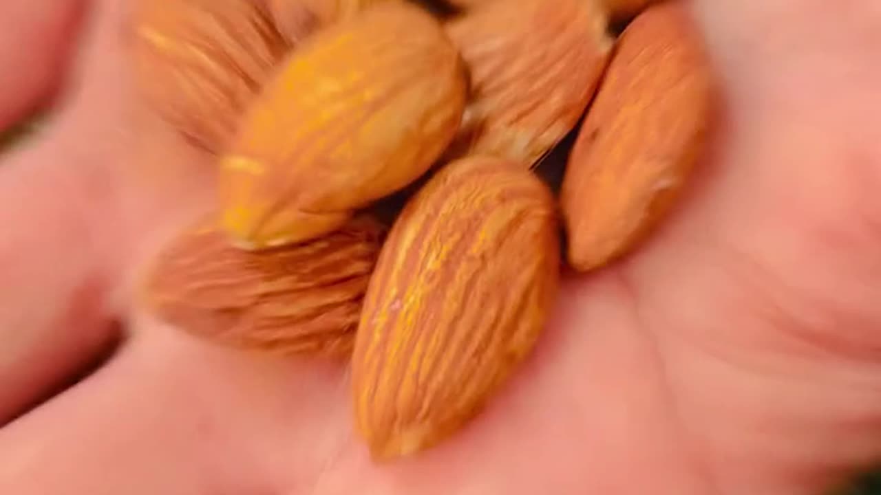 "From 2 Minutes to 2 Hours – This Natural Fix Will Shock Her!"