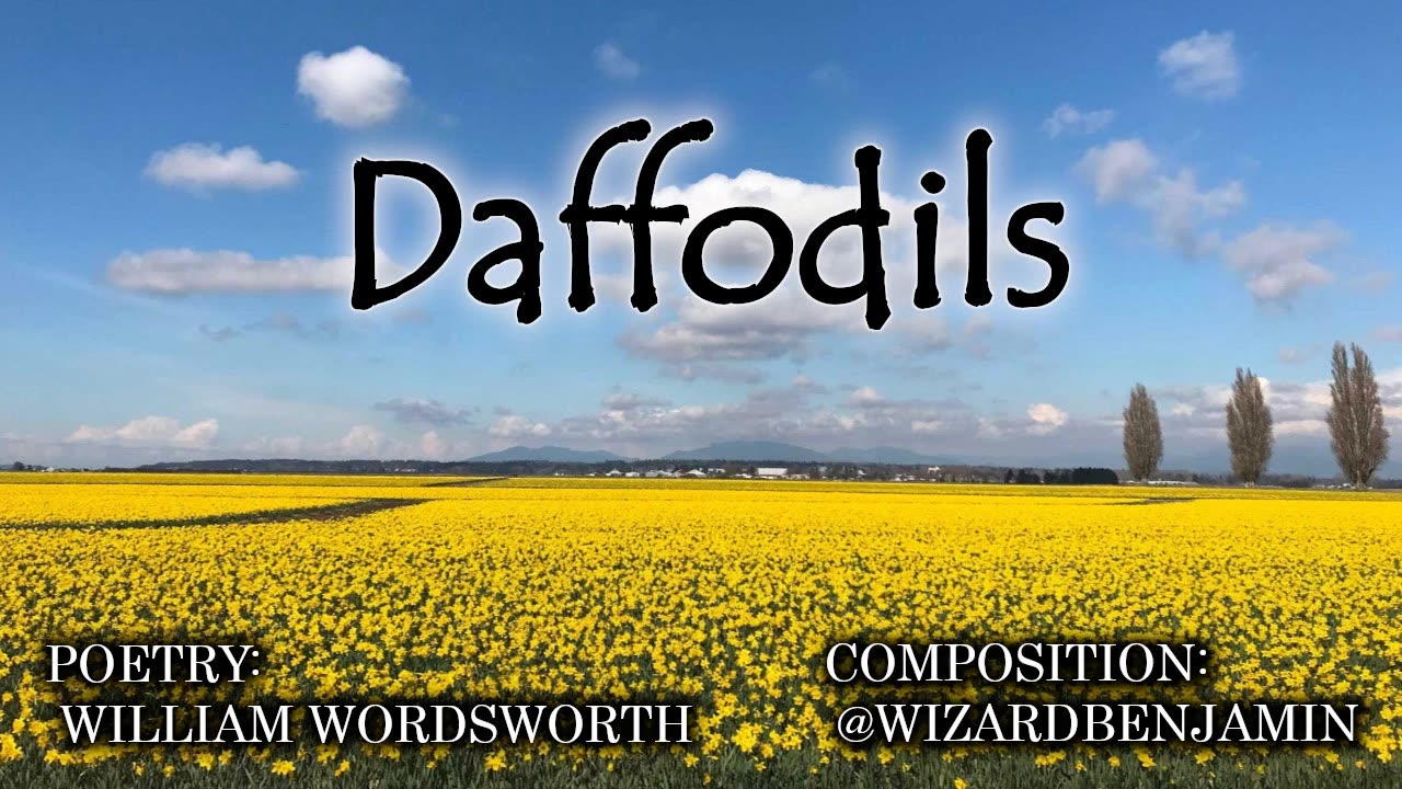 「AI RADIO」 "DAFFODILS"