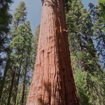 Loving Devotion - Psalm 92 #jesus #motivation #scripturereading