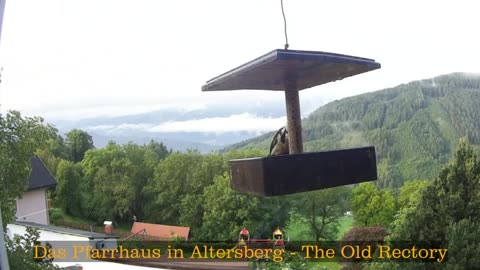 Old Rectory in Austria