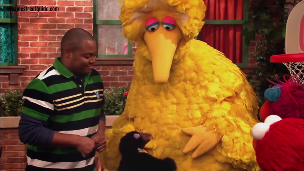 Sesame Street Episode 4505 First Scenes