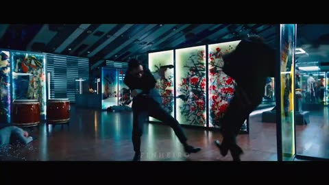 John Wick ｜｜ Free Bird