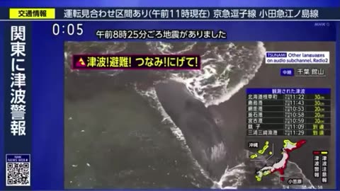 At least 4 whales have washed ashore along Japan's coast. After the massive 8.8 quake
