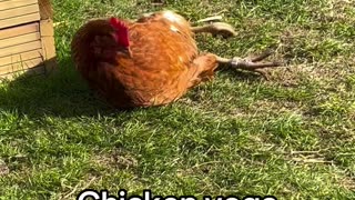 Let's start with yoga. 😁