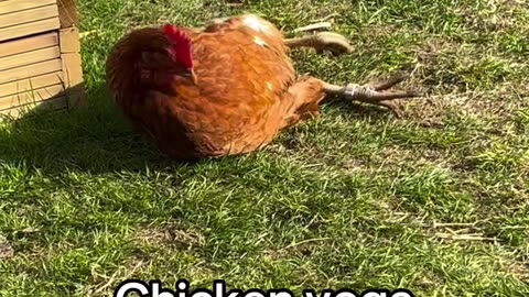 Let's start with yoga. 😁