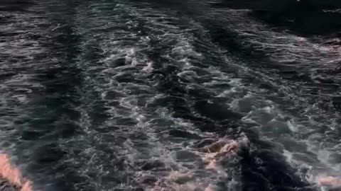 amazing enjoy ocean