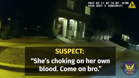 Phoenix Police Ambushed