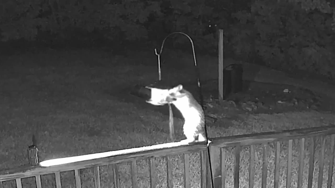 Supper Time