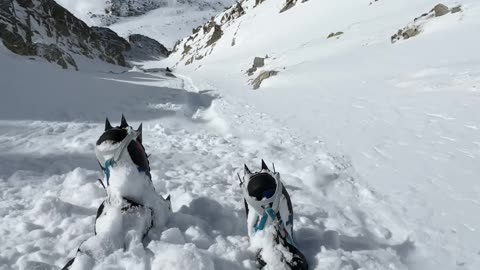 Man Slides Down Mini Avalanche in the Pyrenees