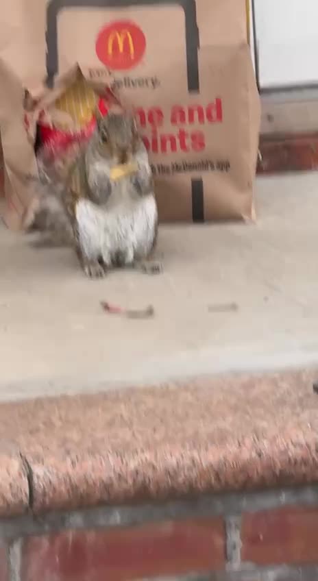 Those fries are impossible to resist 🤣