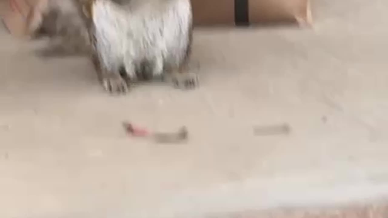 Those fries are impossible to resist 🤣