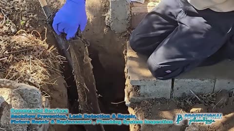 Professional Plumbing Inc. - Commercial Plumbing in Orange County, CA