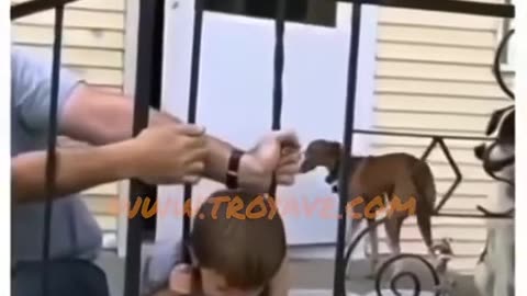 😂🚧 This Railing Fail Will Make You Laugh Out Loud! | FunFM