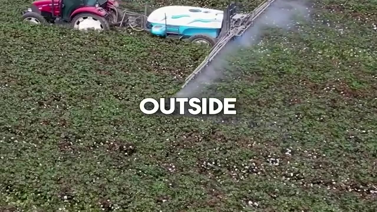 Mc crap frys with human burger