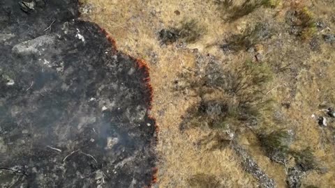 Drone captures devastation from raging wildfires in Portugal