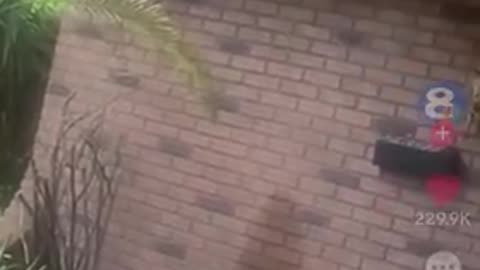 Diverse Cop Accidentally Shoots Home Invasion VICTIM Though A Door