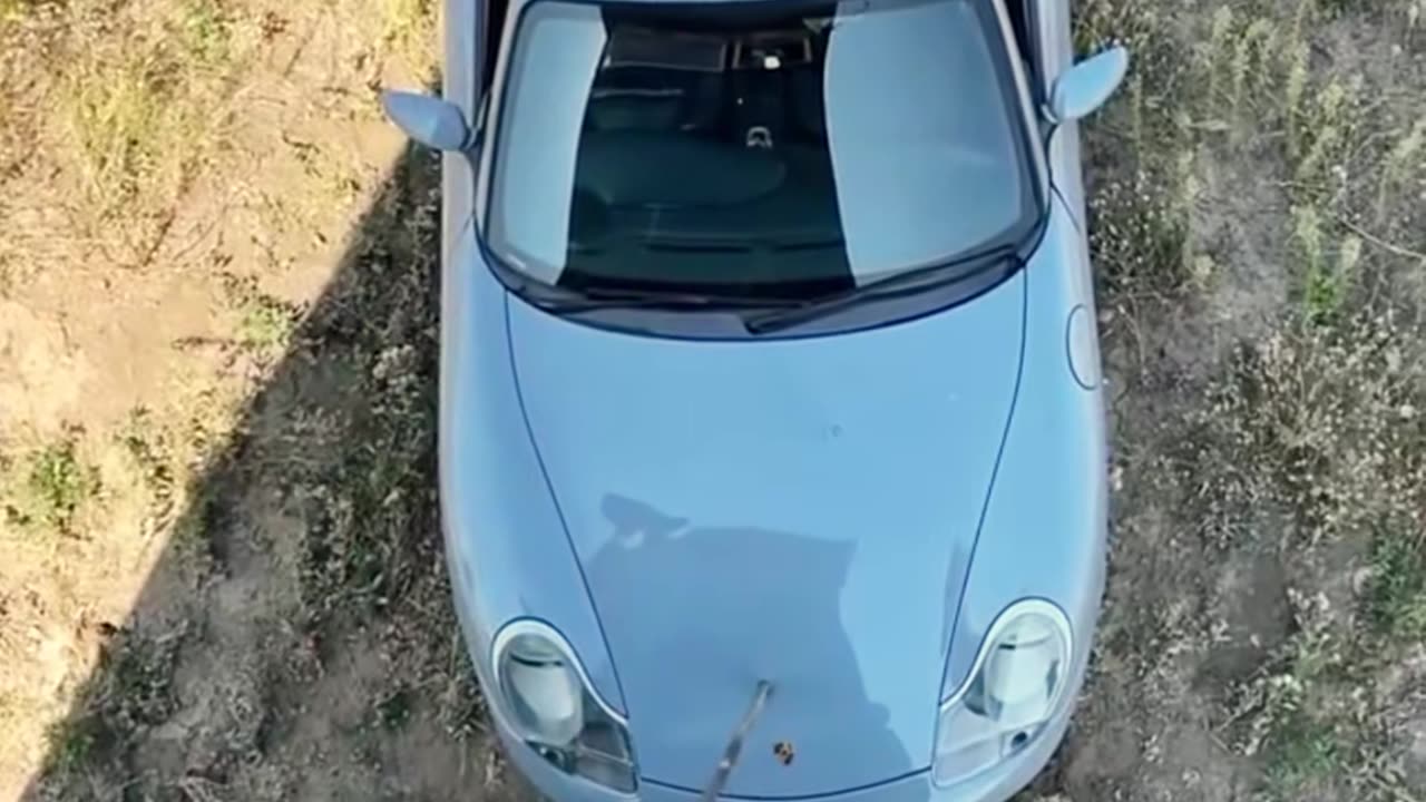 😮👀 You Have to See This! | LifeHacksDaily