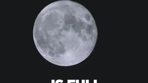 New Moon New Month Lets Celebrate 🥳