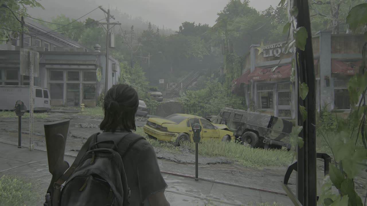 THE_LAST_OF_US_2