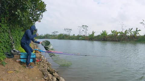 Sunset Casts Catching Roach in a Serene River