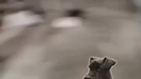 War in ukraine