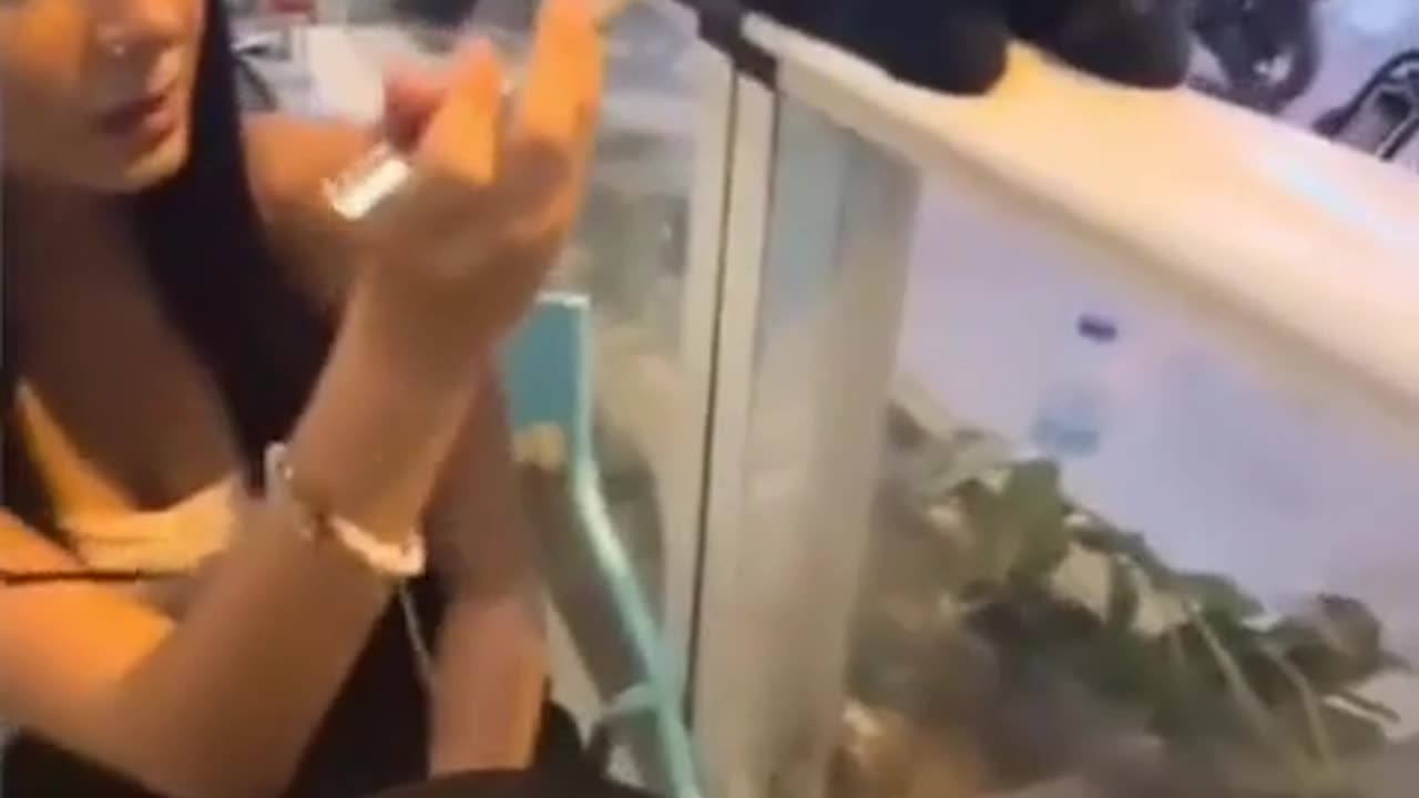 🤣🐱 Messing With This Black Cat Went Hilariously Wrong! | FunFM