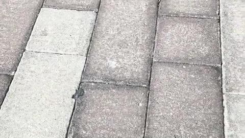 ✨🚀 This Luxury Hypercar's Speed Will Leave You Speechless! | LuxurySportsCars