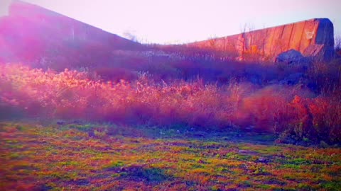 it flies it soars [old demo]