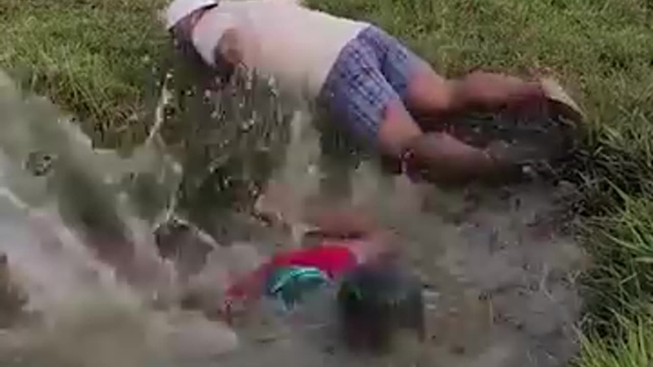 Watching Crazy Wild Clips!