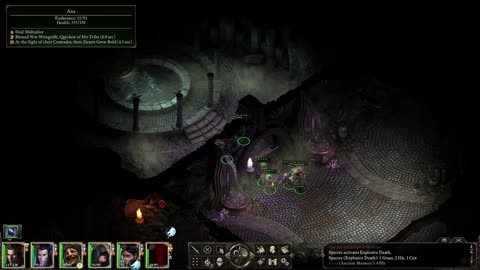 Ruins and Animancers | Pillars of Eternity | pt 10