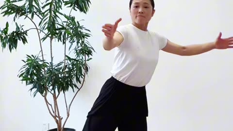 994.腰背臀腿勁一動練到位